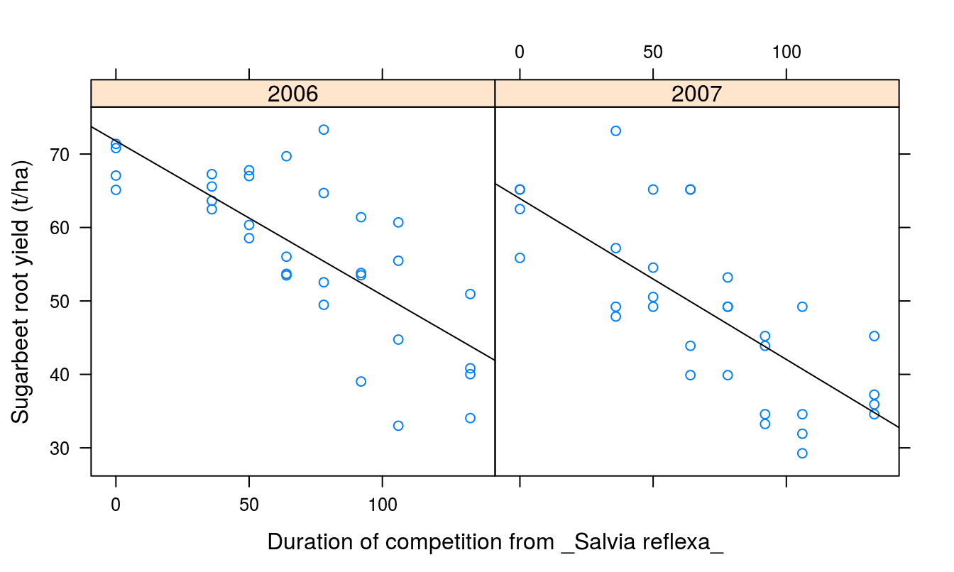 Duration of Salvia reflexa competition effect on yield of sugar beet in two years.