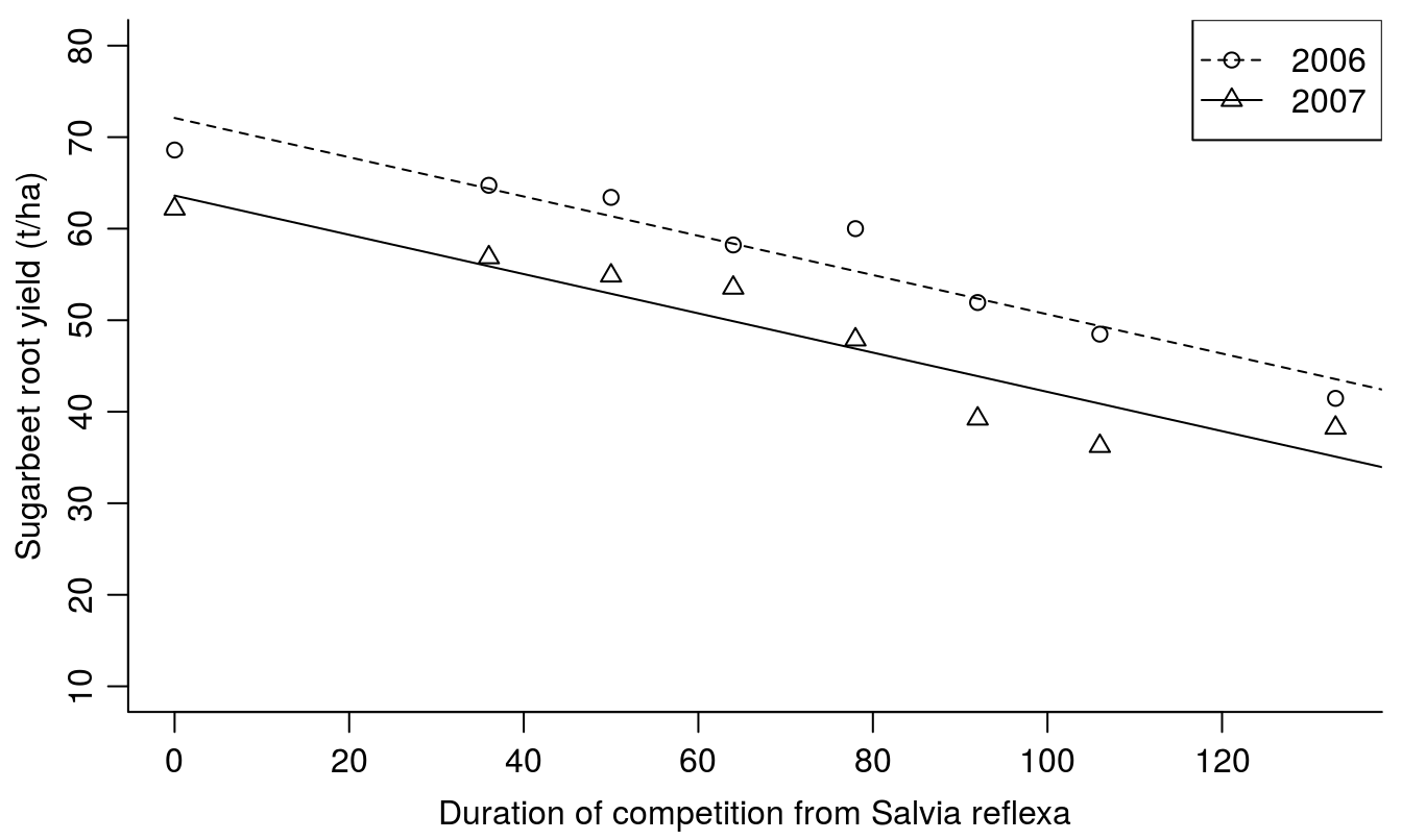Sugarbeet yield in response to duration of Salvia reflexa competition.